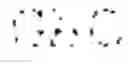 Fig. 04 - ALBUMIN VARIANTS