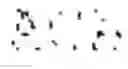 Fig. 32 - ALBUMIN VARIANTS