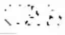 Fig. 34 - ALBUMIN VARIANTS