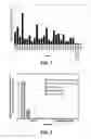 Fig. 02 - TRANSGENIC PLANT COMPRISING A POLYNUCLEOTIDE ENCODING A VARIABLE DOMAIN OF HEAVY-CHAIN ANTIBODY