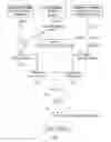 Fig. 02 - Complement component C5 antibodies