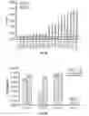 Fig. 08 - Complement component C5 antibodies