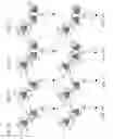 Fig. 03 - Bispecific T cell activating antigen binding molecules
