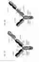 Fig. 07 - Bispecific T cell activating antigen binding molecules