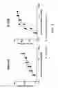 Fig. 23 - Bispecific T cell activating antigen binding molecules