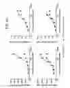 Fig. 24 - Bispecific T cell activating antigen binding molecules