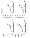 Fig. 27 - Bispecific T cell activating antigen binding molecules