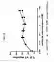 Fig. 28 - Bispecific T cell activating antigen binding molecules