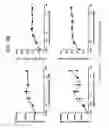 Fig. 30 - Bispecific T cell activating antigen binding molecules
