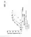 Fig. 37 - Bispecific T cell activating antigen binding molecules