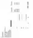 Fig. 47 - Bispecific T cell activating antigen binding molecules