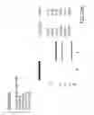 Fig. 48 - Bispecific T cell activating antigen binding molecules