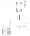 Fig. 52 - Bispecific T cell activating antigen binding molecules