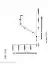 Fig. 65 - Bispecific T cell activating antigen binding molecules