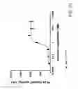 Fig. 70 - Bispecific T cell activating antigen binding molecules