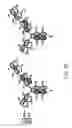 Fig. 45 - Bispecific T cell activating antigen binding molecules