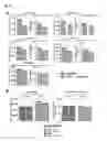 Fig. 07 - Method for the selection of antibodies against BCMA