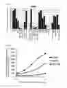 Fig. 07 - Antibody which specifically binds to human CRTH2