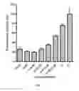 Fig. 08 - BISPECIFIC SCFV IMMUNOFUSION (BIF)