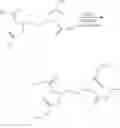 Fig. 09 - Chelator and use thereof