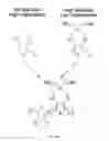 Fig. 03 - Processable polymers and methods of making and using thereof