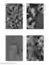 Fig. 04 - Carbon nanostructure preblends and their applications