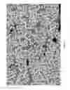 Fig. 02 - Method for the open-mold production of a fiber-reinforced semi-crystalline polyamide matrix composite material from a prepolymer reactive precursor composition