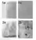Fig. 01 - Heat expandable foam
