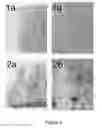 Fig. 03 - Heat expandable foam