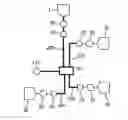 Fig. 01 - Silicone rubber syntactic foam
