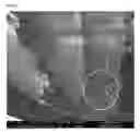 Fig. 14 - Multifunctional nanocomposites reinforced with impregnated cellular carbon nanostructures