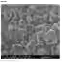 Fig. 16 - Multifunctional nanocomposites reinforced with impregnated cellular carbon nanostructures