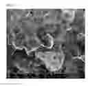 Fig. 17 - Multifunctional nanocomposites reinforced with impregnated cellular carbon nanostructures