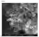 Fig. 22 - Multifunctional nanocomposites reinforced with impregnated cellular carbon nanostructures