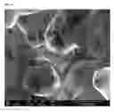 Fig. 23 - Multifunctional nanocomposites reinforced with impregnated cellular carbon nanostructures