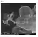 Fig. 24 - Multifunctional nanocomposites reinforced with impregnated cellular carbon nanostructures