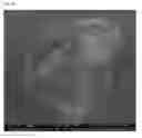 Fig. 26 - Multifunctional nanocomposites reinforced with impregnated cellular carbon nanostructures