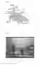 Fig. 02 - BIOFILM GROWTH DEVICES AND METHODS