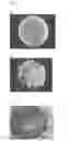 Fig. 06 - BIOFILM GROWTH DEVICES AND METHODS