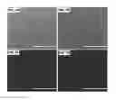 Fig. 08 - Engineered platforms to stabilize both hepatocytes and endothelial cells in vitro