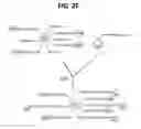 Fig. 09 - FUNCTIONALIZED NANOPARTICLES FOR THE INTRACELLULAR DELIVERY OF BIOLOGICALLY ACTIVE MOLECULES AND METHODS FOR THEIR MANUFACTURE AND USE