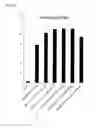Fig. 07 - Structurally-enhanced miRNA inhibitor S-TuD