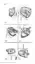Fig. 02 - Methods and hybrids for targeted nucleic acid editing in plants using CRISPR/Cas systems
