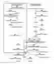 Fig. 02 - Method for modulating expression of specific protein using specific transcription factor, isoprenoid-producing plant having transgene encoding specific transcription factor, and method for producing polyisoprenoid using isoprenoid-producing plant