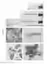 Fig. 04 - Methods and Materials for Producing Fruit of Altered Size