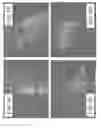 Fig. 07 - Methods and Materials for Conferring Resistance to Pests and Pathogens of Plants