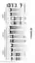 Fig. 06 - Methods and compositions for treatment of a genetic condition