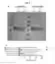 Fig. 09 - Activated formylglycine-generating enzymes and methods of producing and using the same