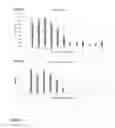 Fig. 07 - Method for determining antimicrobial susceptibility of a microorganism
