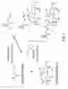 Fig. 02 - CROSS-LINKED POLYMER MATRICES, AND METHODS OF MAKING AND USING SAME